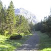 Alpe Mora-Livigno
