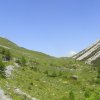 Alpe Mora-Livigno