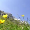 Alpe Mora-Livigno