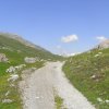 Alpe Mora-Livigno