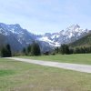 Ameisstein