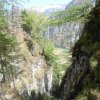 Ameisstein