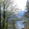 Ameisstein