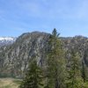 Ameisstein