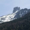 Ameisstein
