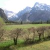 Ameisstein