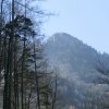 Beilstein