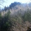 Beilstein