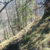 Beilstein