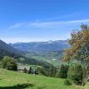Blosen-2018