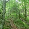 Brandberg