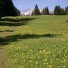 Dürre Wand