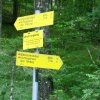 Ebenseer Hochkogel