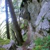 Ebenseer Hochkogel