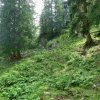 Ebenseer Hochkogel