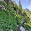 Ebenseer Hochkogel