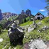 Ebenseer Hochkogel