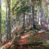 Gaißstein