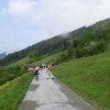 Gamsstein