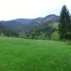 Gamsstein