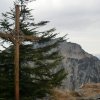 Gmundner Hochkogel