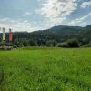 grosse_plaike-01