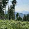 grosse_plaike-10