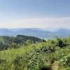 grosse_plaike-11
