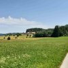 grosse_plaike-12