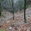 Großer Spitzberg