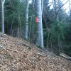 Großer Spitzberg