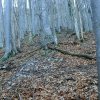 Großer Spitzberg