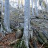 Großer Spitzberg