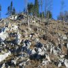 Großer Spitzberg