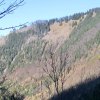 Großer Spitzberg