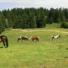 Gruberhorn und Regenspitz