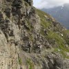 Hintergrathütte-Payerhütte