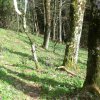 Hirschwaldstein und Ochsenkogel
