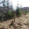 Hirschwaldstein und Ochsenkogel
