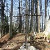 Hirschwaldstein und Ochsenkogel