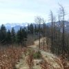 Hirschwaldstein und Ochsenkogel