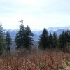 Hirschwaldstein und Ochsenkogel