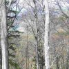 Hirschwaldstein und Ochsenkogel