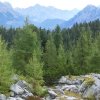 Hochangern-Runde