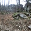 Hochbuchberg