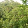 Hochsalm und Windhagkogel