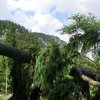 Hochsalm und Windhagkogel