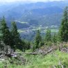 Hochsalm und Windhagkogel