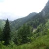 Hochsalm und Windhagkogel