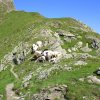 Karnischer Höhenweg